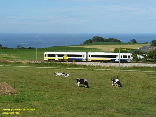 Tren que va de Oviedo a Ferrol a su paso por Sabugo (Asturias) / Foto: http://profile.imageshack.us/user/golftdi/